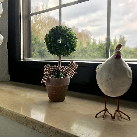 Apartment Will Walkenried