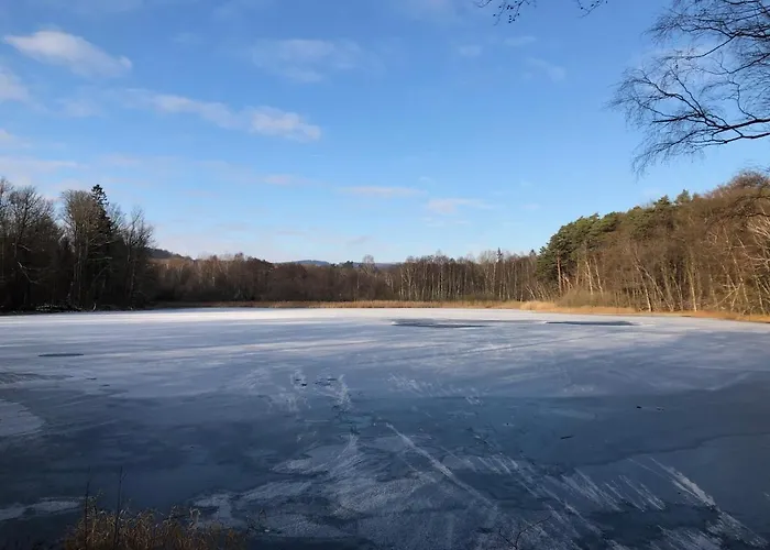 Will Διαμέρισμα *