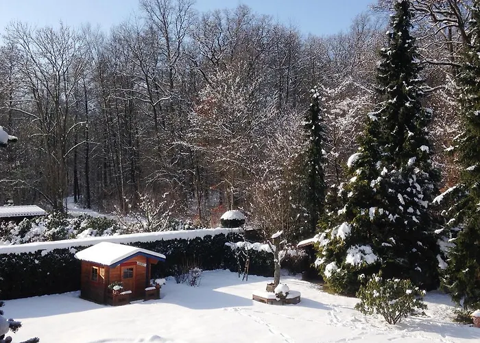 Διαμέρισμα Will Walkenried