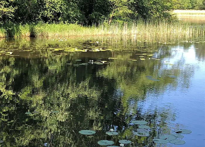 Will Διαμέρισμα