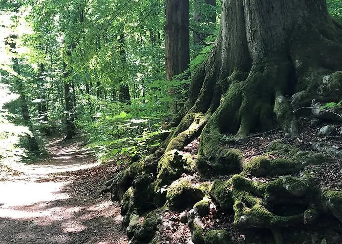 Will Διαμέρισμα