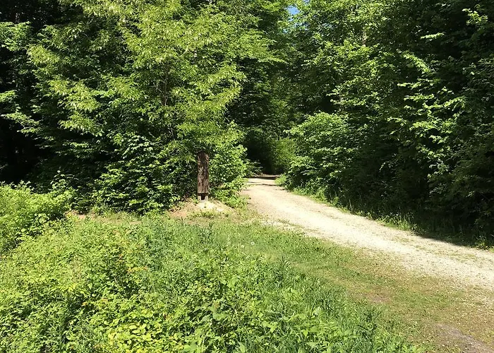 Διαμέρισμα Will