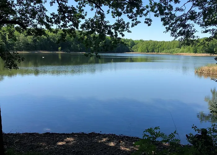 Will Διαμέρισμα *