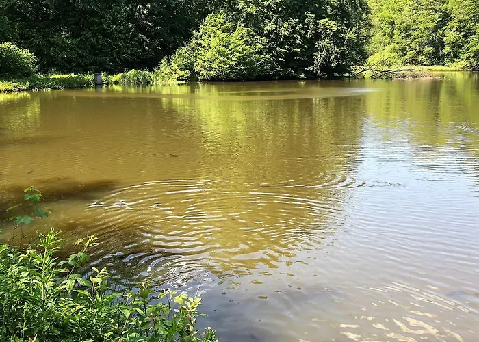 Διαμέρισμα Will