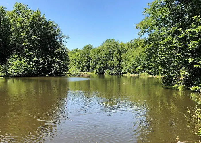 Will Διαμέρισμα